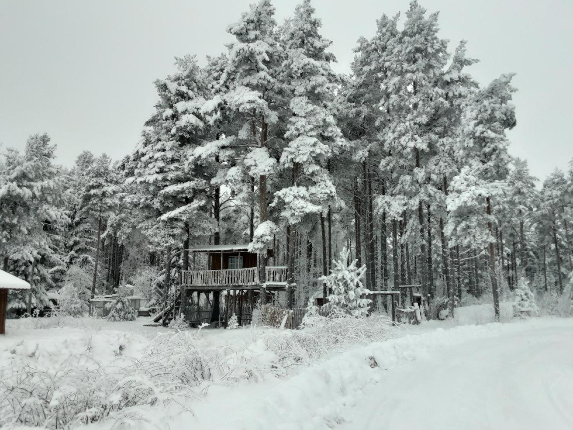 Elulong Camping Lohusuu Exterior photo