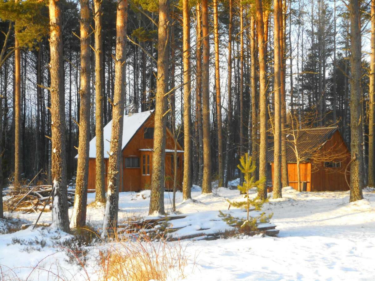 Elulong Camping Lohusuu Exterior photo